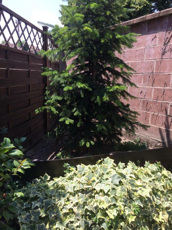 La Porta Nel Giardino Apartment อัสตี ภายนอก รูปภาพ