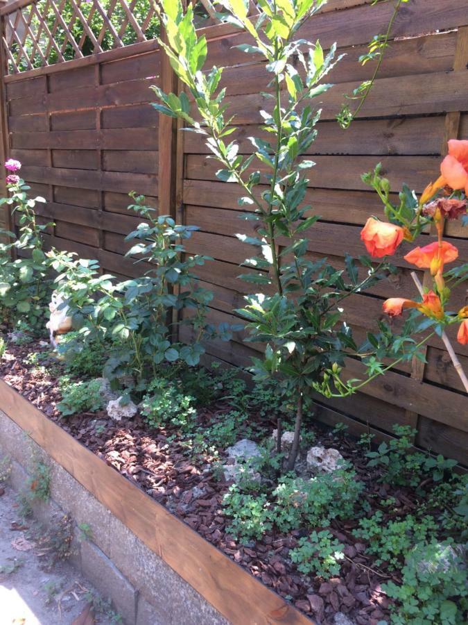 La Porta Nel Giardino Apartment อัสตี ภายนอก รูปภาพ