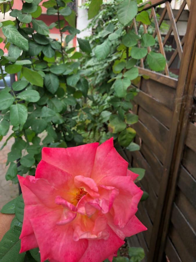 La Porta Nel Giardino Apartment อัสตี ภายนอก รูปภาพ